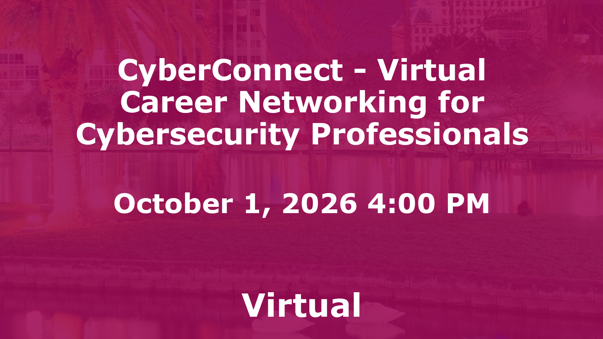 CyberConnect - Virtual Career Networking for Cybersecurity Professionals event image